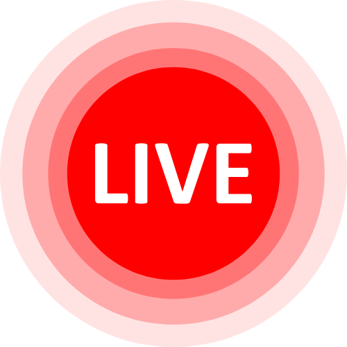Lovense Interactive Video